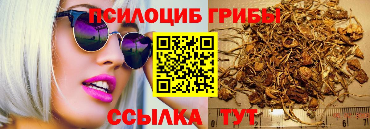 Севастополь  Псилоцибиновые грибы Psilocybe  Галлюциногенные грибы прущие грибы  Вход с VPN 